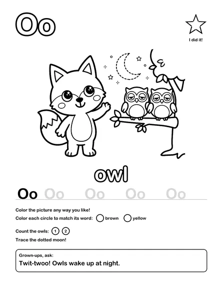 O · owl